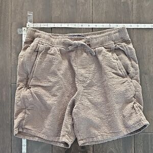 Hollister Men's Brown Athletic Shorts